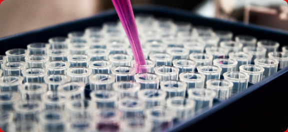Pipeta i próbki laboratoryjne