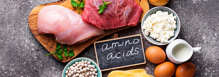 aminokwasy BCAA źródła pokarmowe